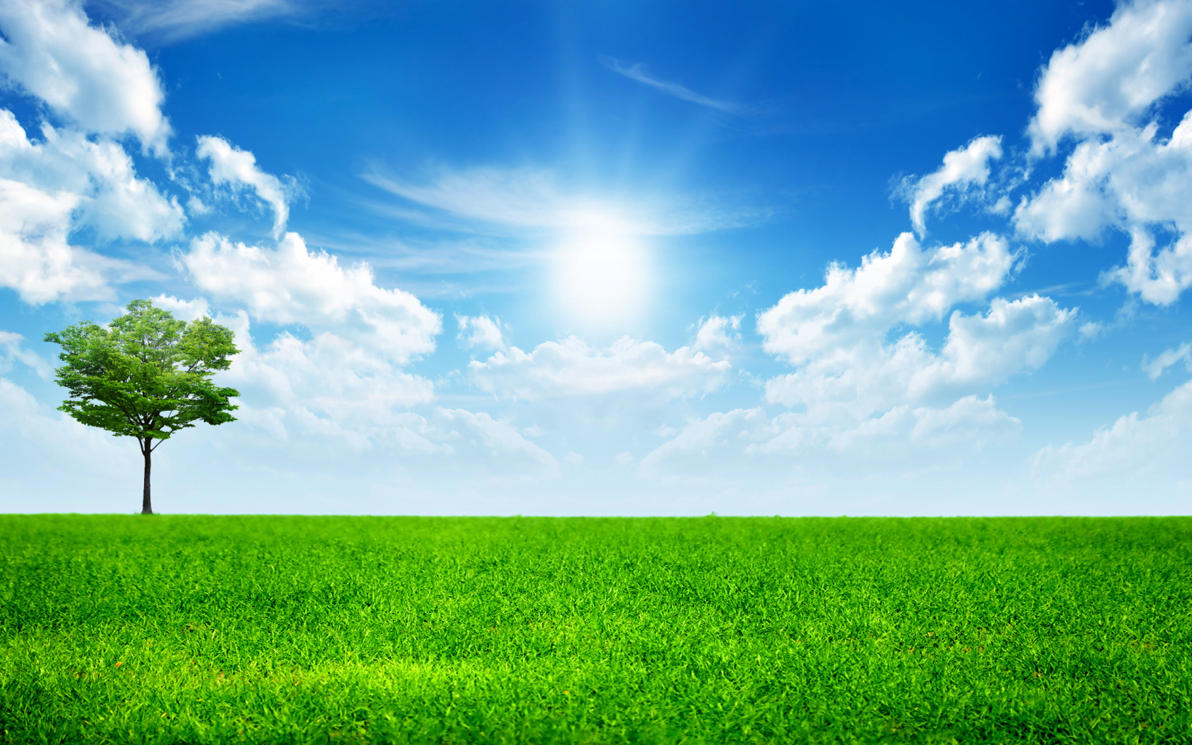 Зеленая трава под ярким солнцем в голубом небе с белыми облаками