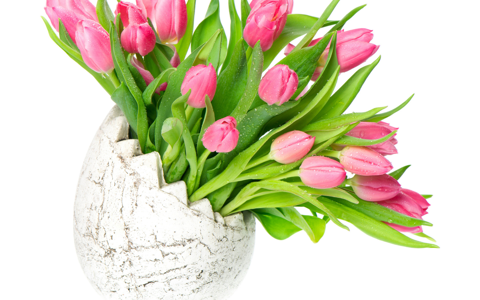 Букет розовых тюльпанов в вазе на белом фоне