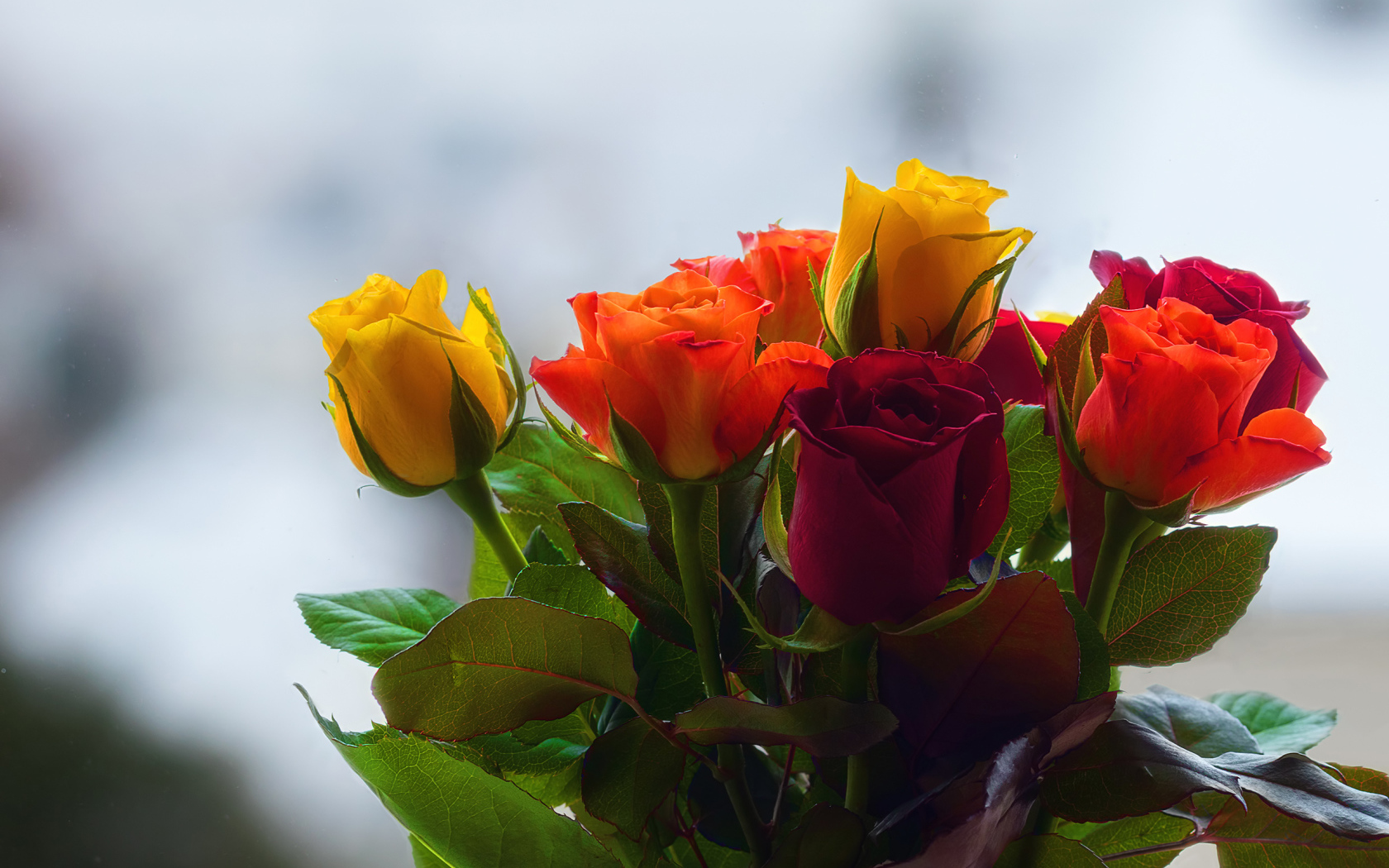 Букет колючих разноцветных роз 