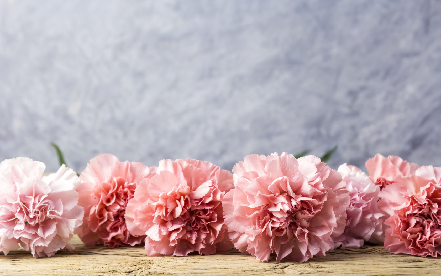 Розовые гвоздики лежат на деревянном столе