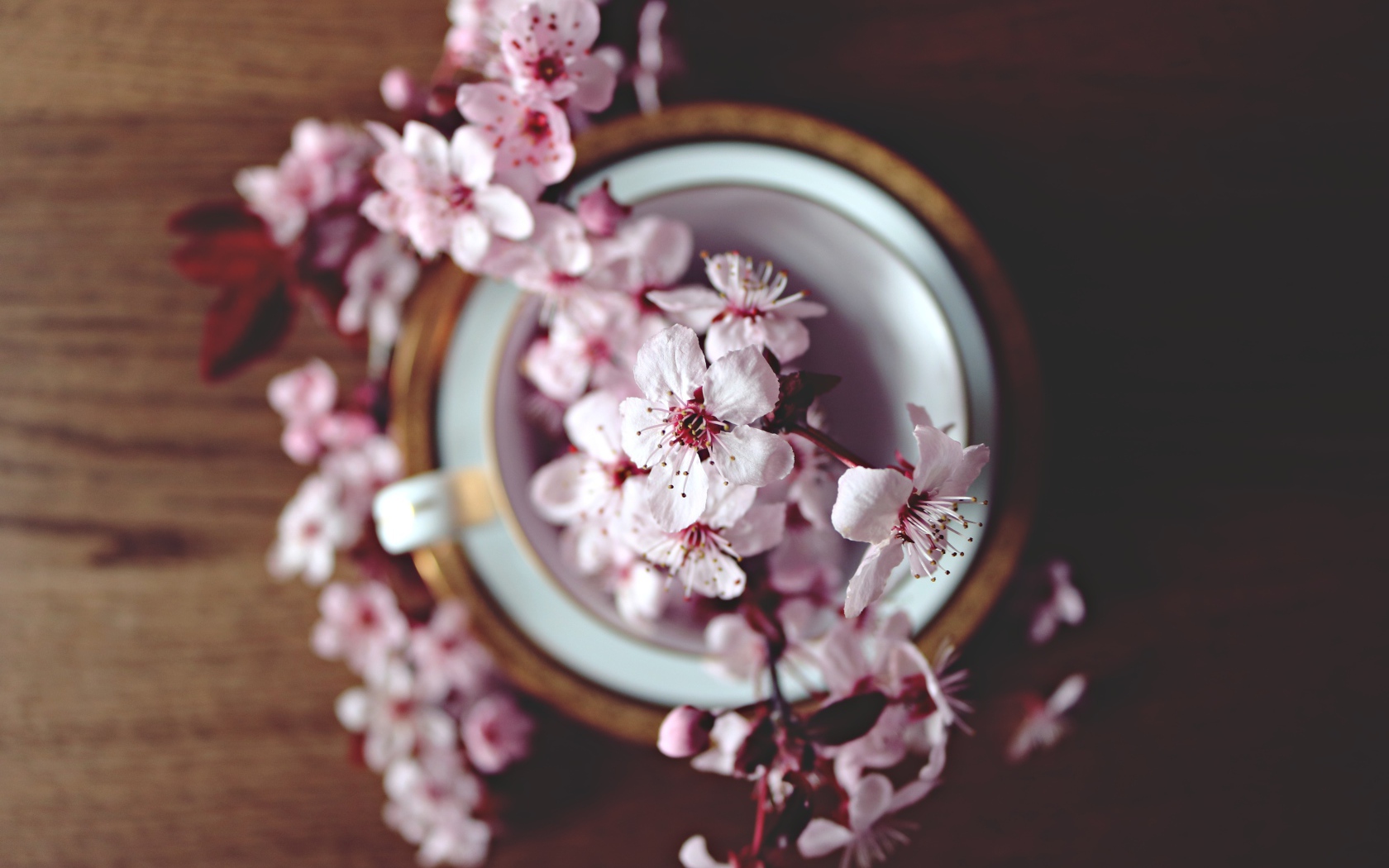 Розовые цветы в чашке на столе 