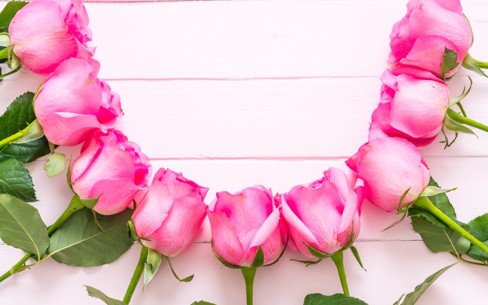 Розовые розы дугой на деревянном фоне