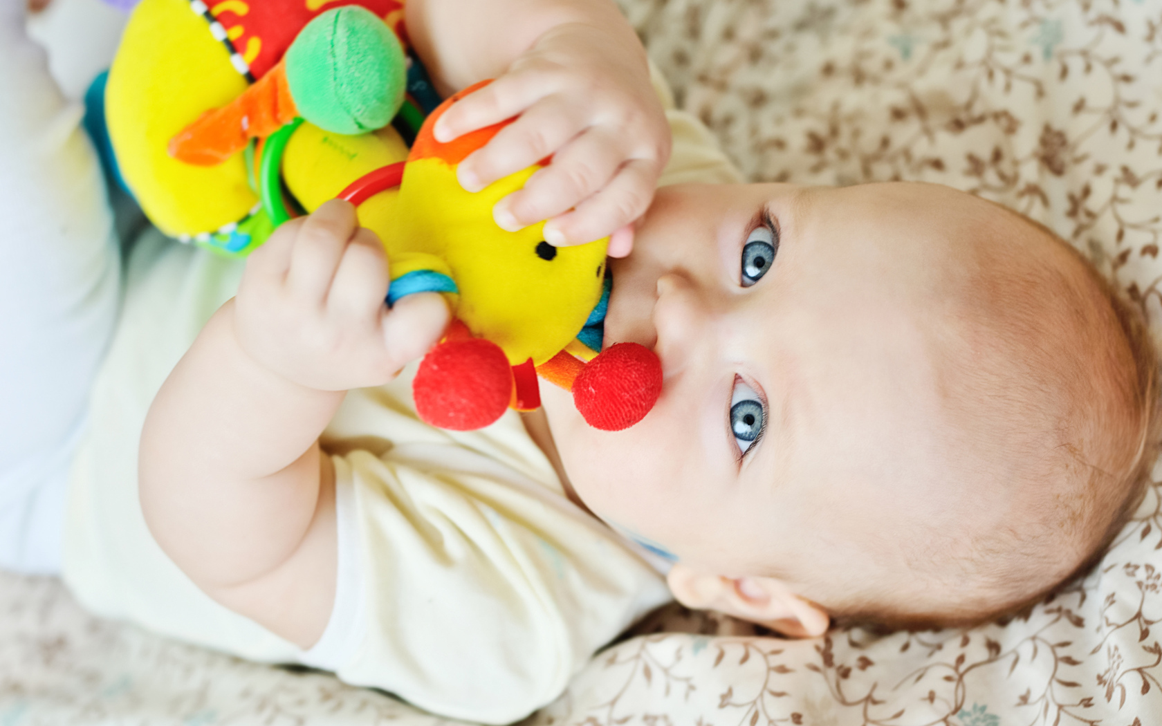 Маленький голубоглазый ребенок грызет игрушку