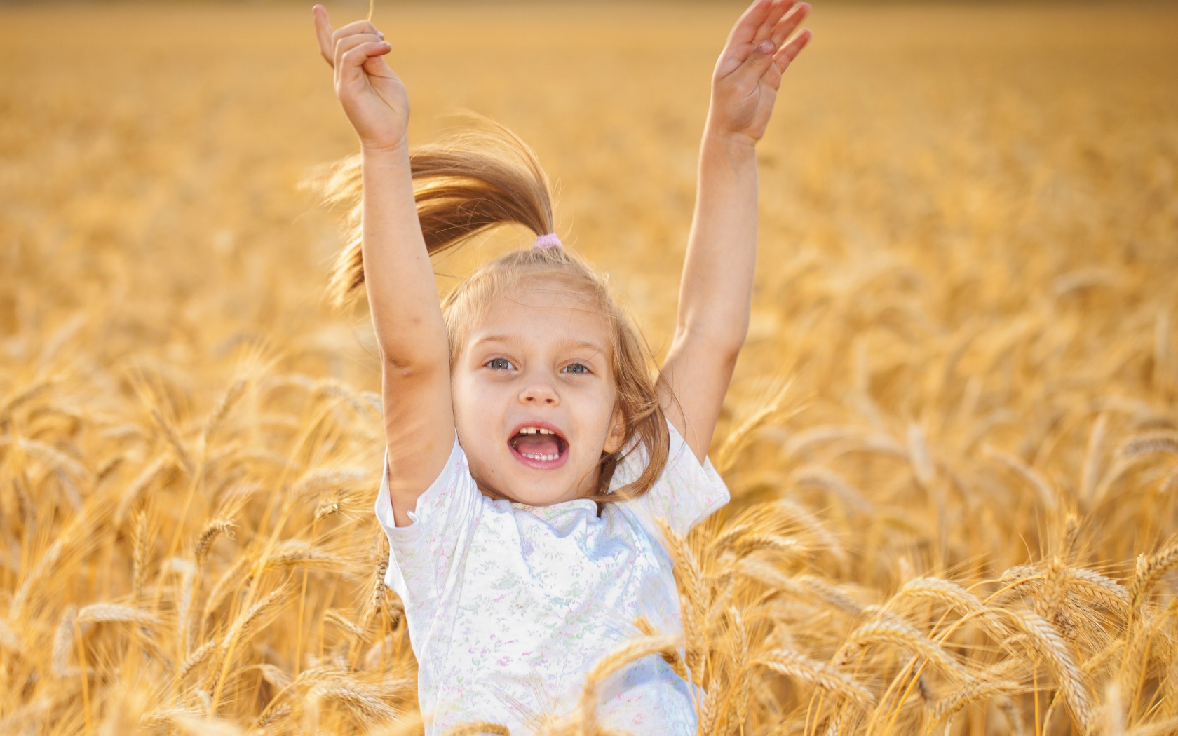 Маленькая веселая девочка в желтой пшенице