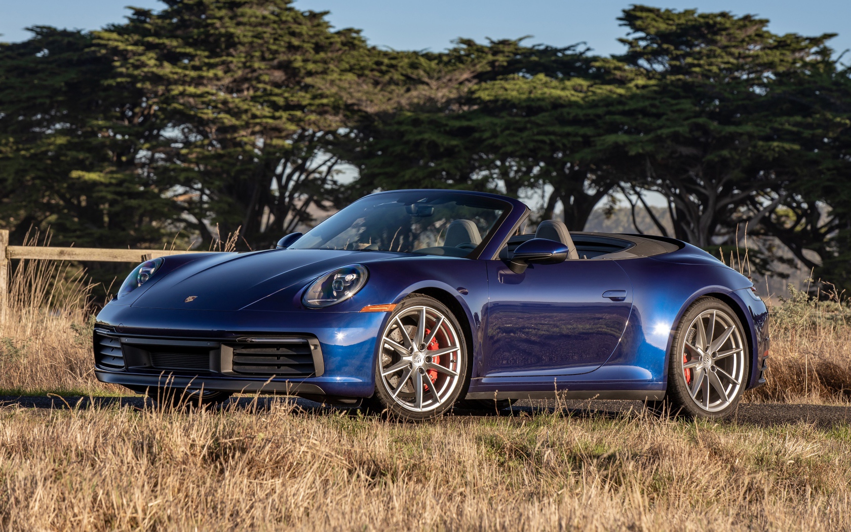 Автомобиль Porsche 911 Carrera S, 2020 года на фоне деревьев 