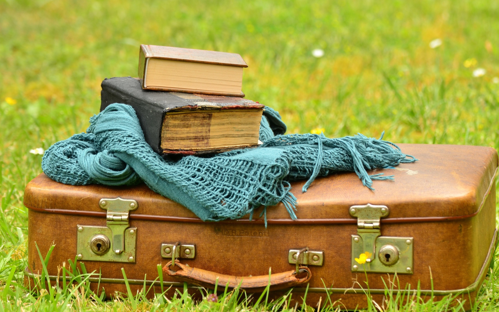 Старый чемодан с книгами и шарфом на траве