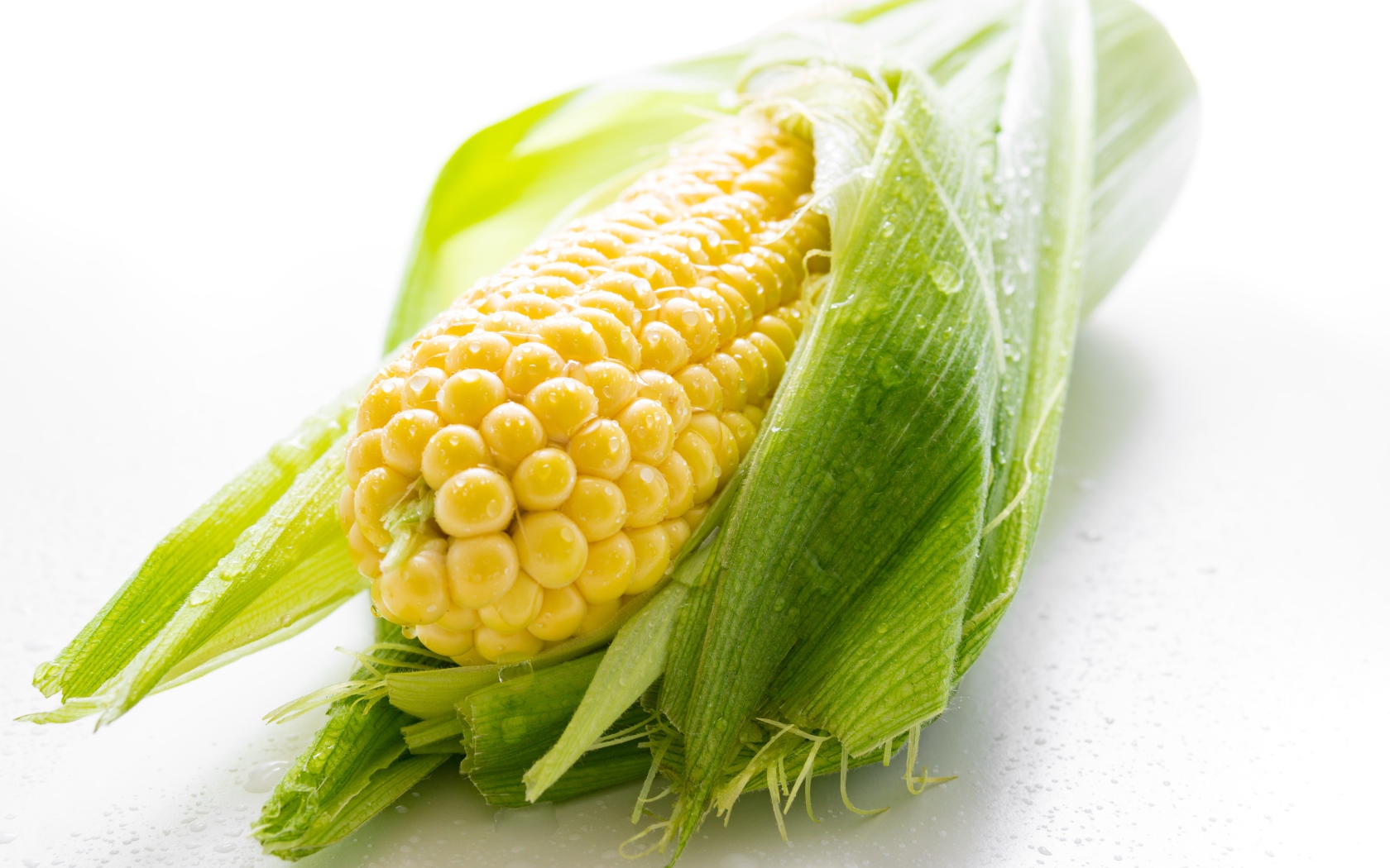 Початок кукурузы в каплях воды на белом фоне