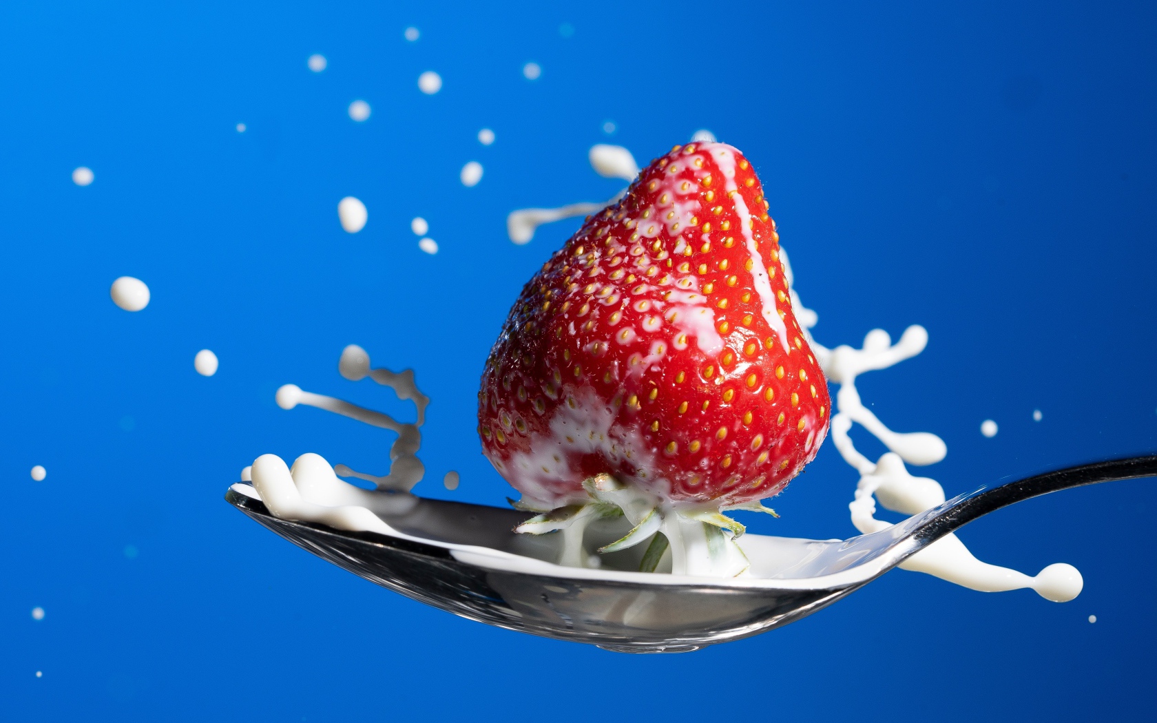 Спелая красная клубника в ложке молока на голубом фоне