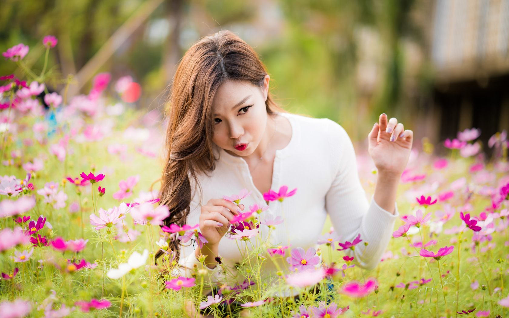 Красивая девушка азиатка в цветах космеи