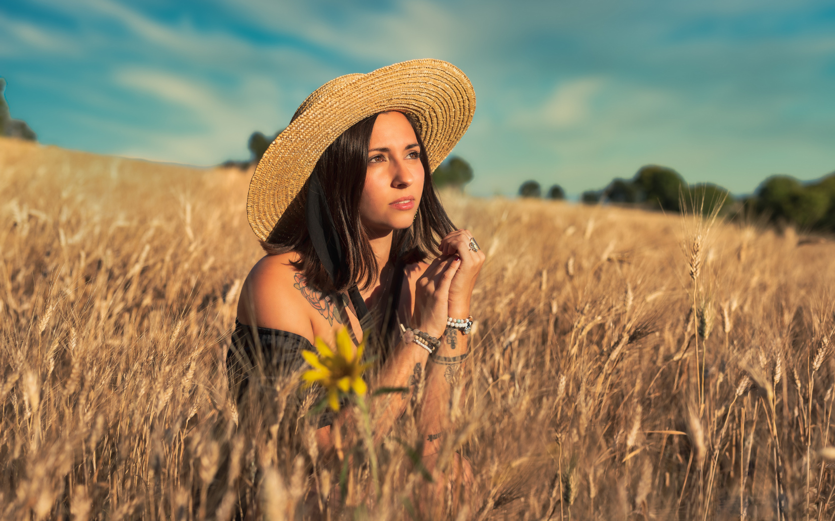 Красивая девушка в шляпе сидит на поле с пшеницей