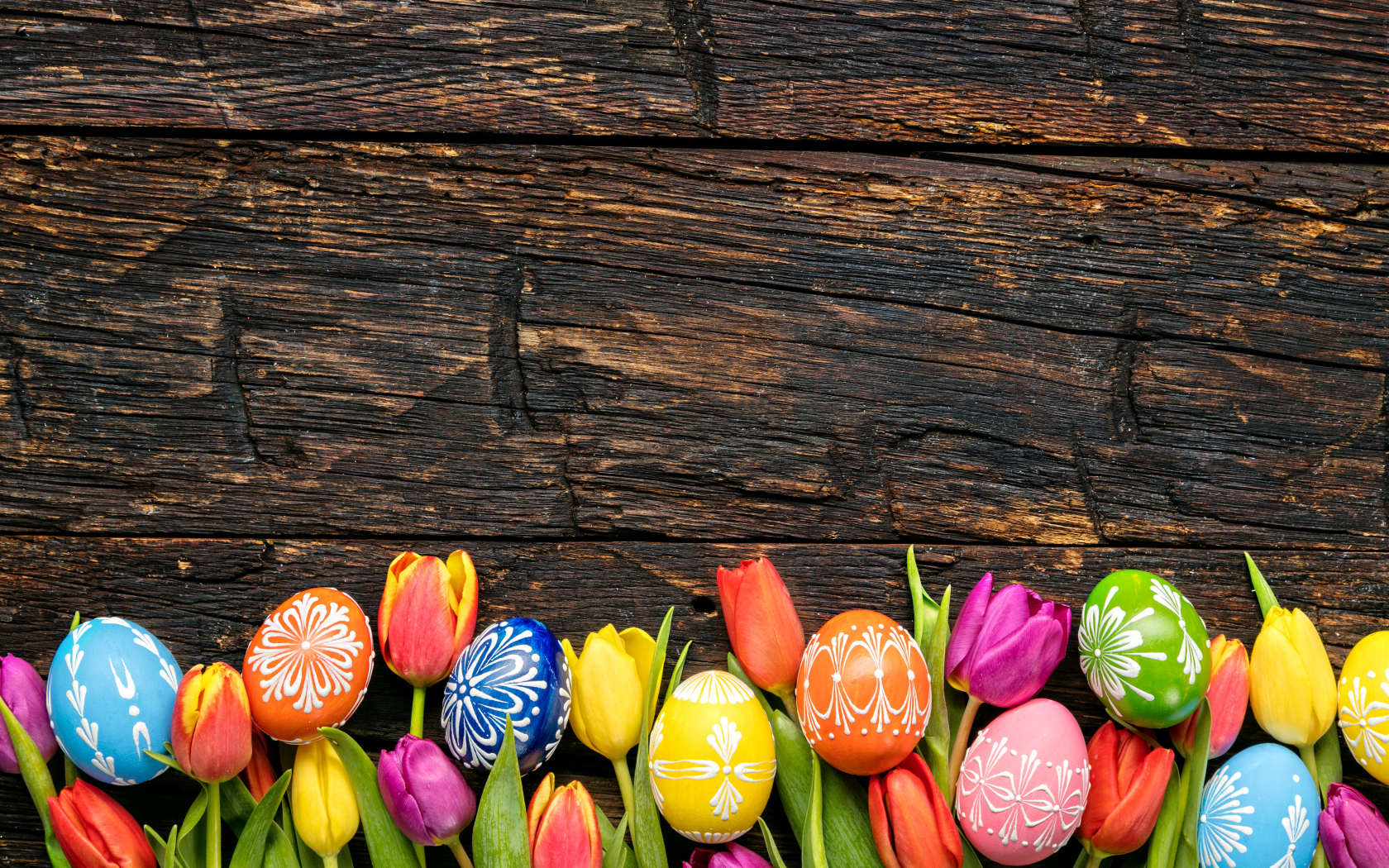 Разноцветные яйца и цветы тюльпана, шаблон для открытки на Пасху 