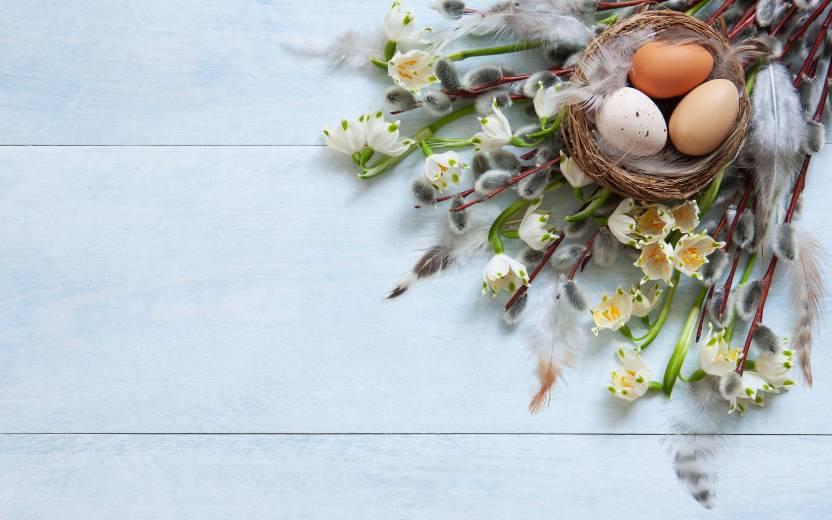 Яйца в гнезде на столе с ветками вербы на Пасху