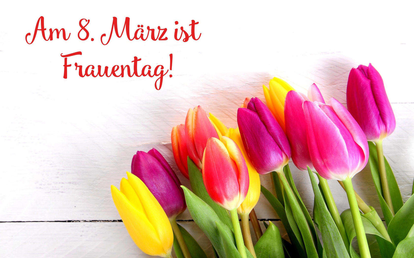 Красивый букет  тюльпанов на Международный женский день 8 марта