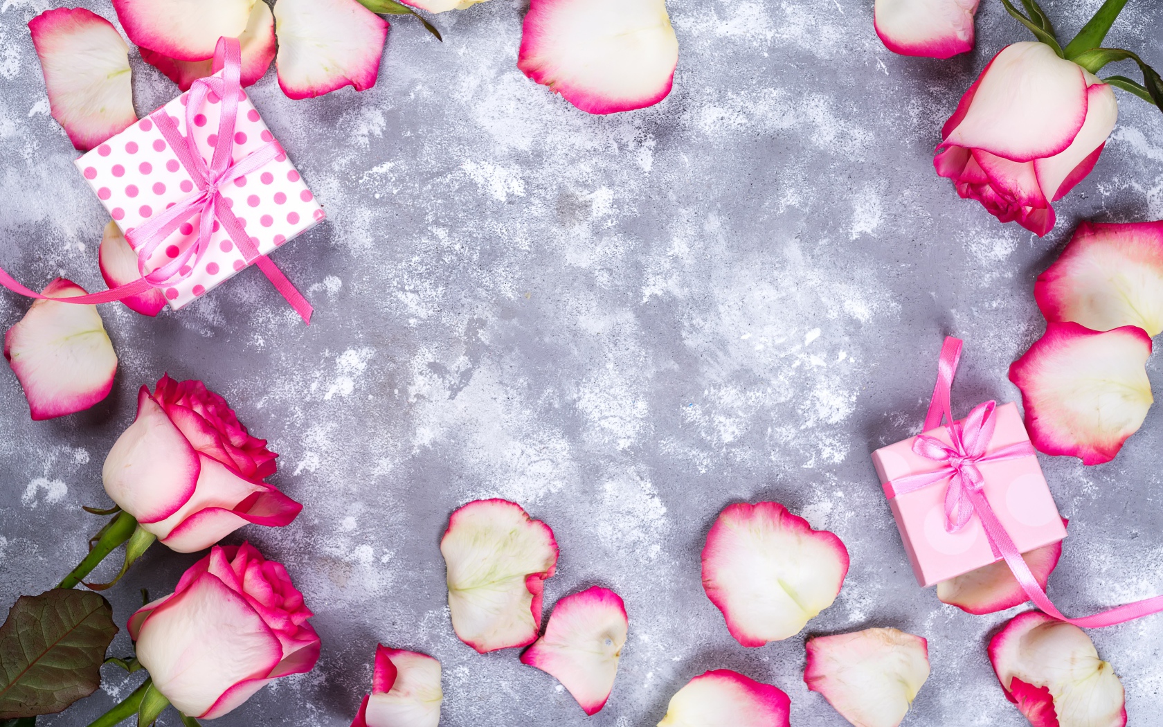 Красивые розовые розы с лепестками и подарками