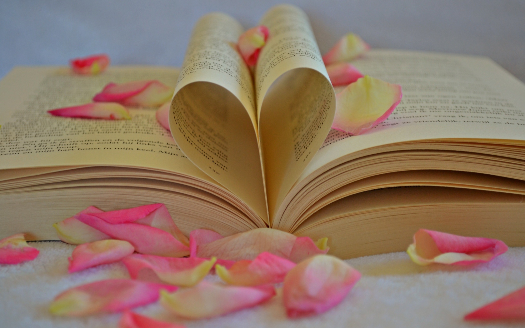 Сердце из листов книги с лепестками розы 