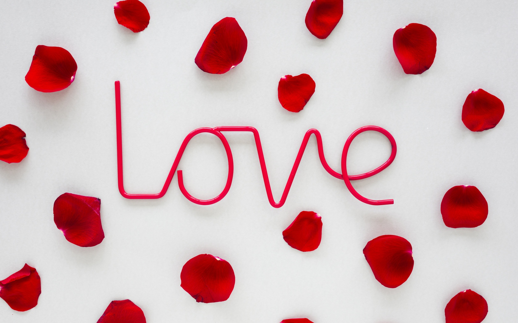 Розовая надпись Love на сером фоне с лепестками розы 