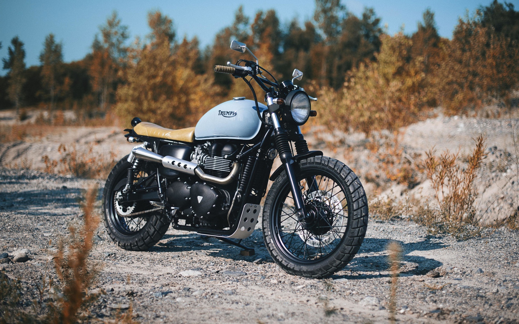 Мотоцикл Triumph Bonneville на дороге в лесу 