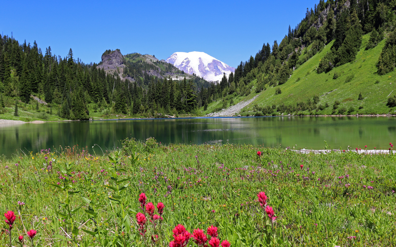 Красивый живописный пейзаж у горного озера 