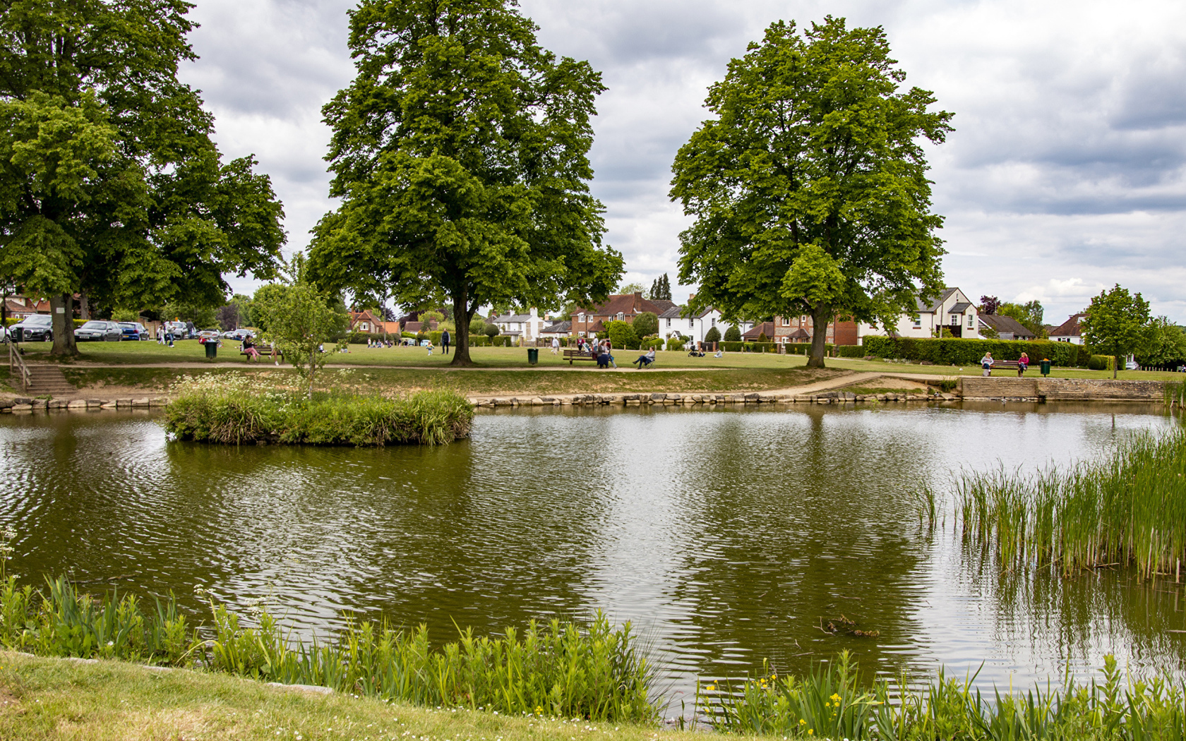 Красивый пруд и деревья в летнем парке 