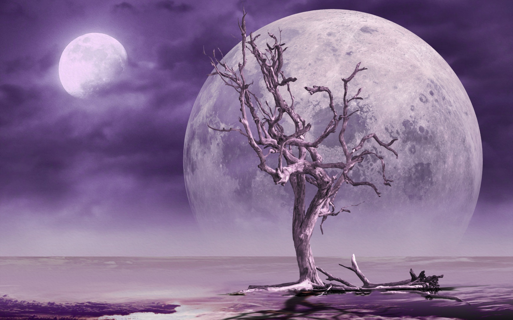 Большая луна в небе у сухого дерева
