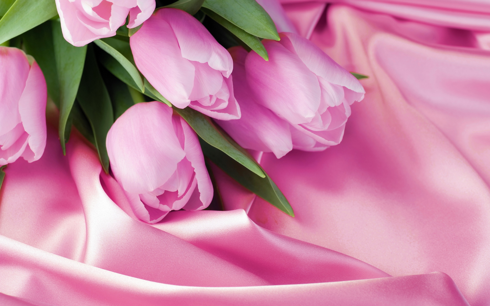 Bouquet of delicate tulips on a pink silk fabric