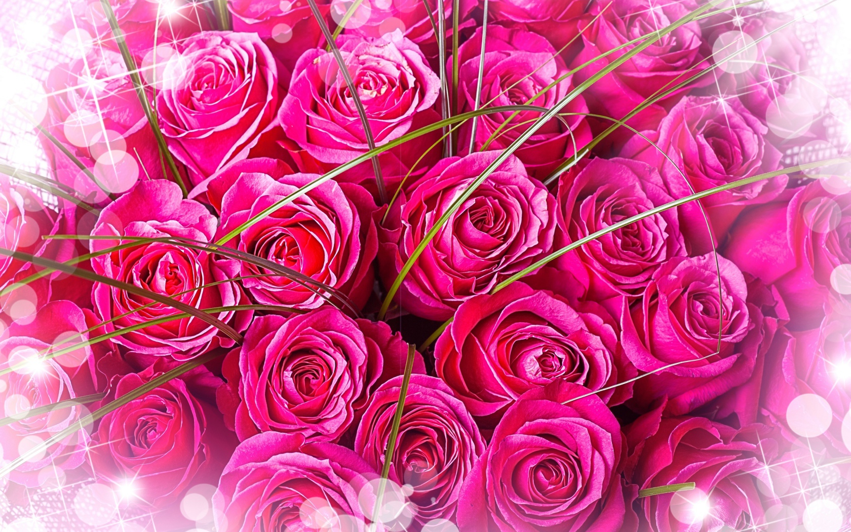 Bouquet of pink roses for your girlfriend