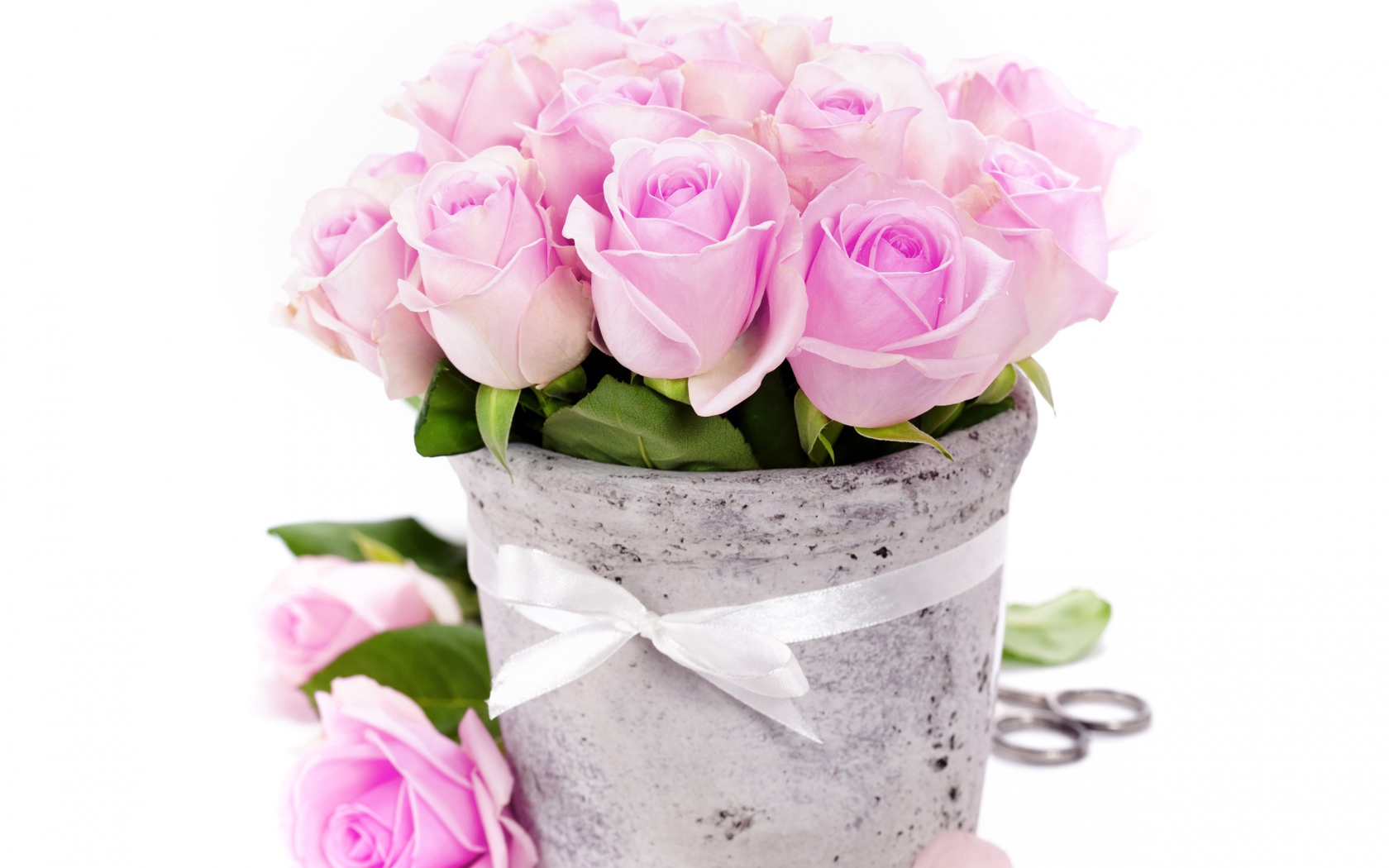 Bouquet of pink roses in a vase with a white ribbon