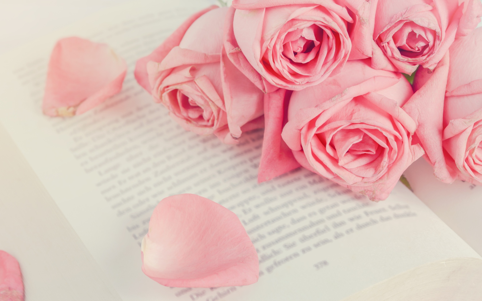 Букет розовых роз на книге