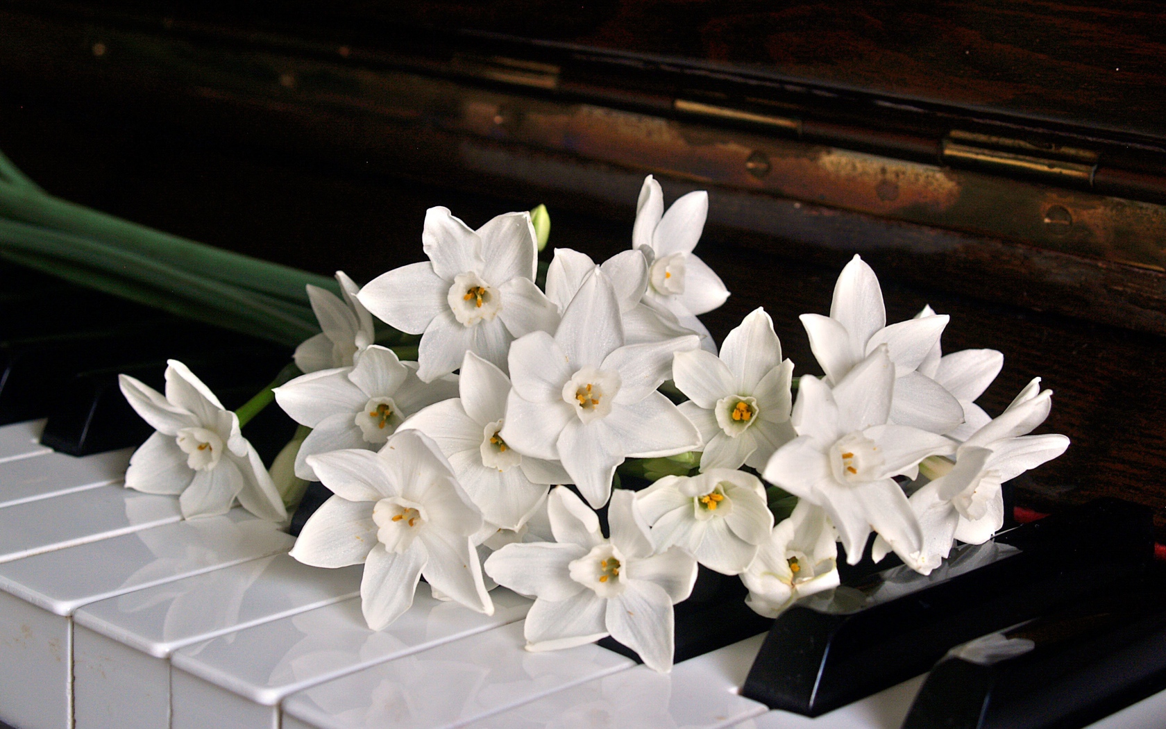 Букет белых нарциссов на кнопках пианино 