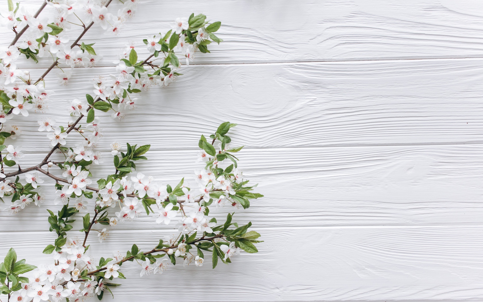 Ветки с белыми цветами вишни на деревянном фоне