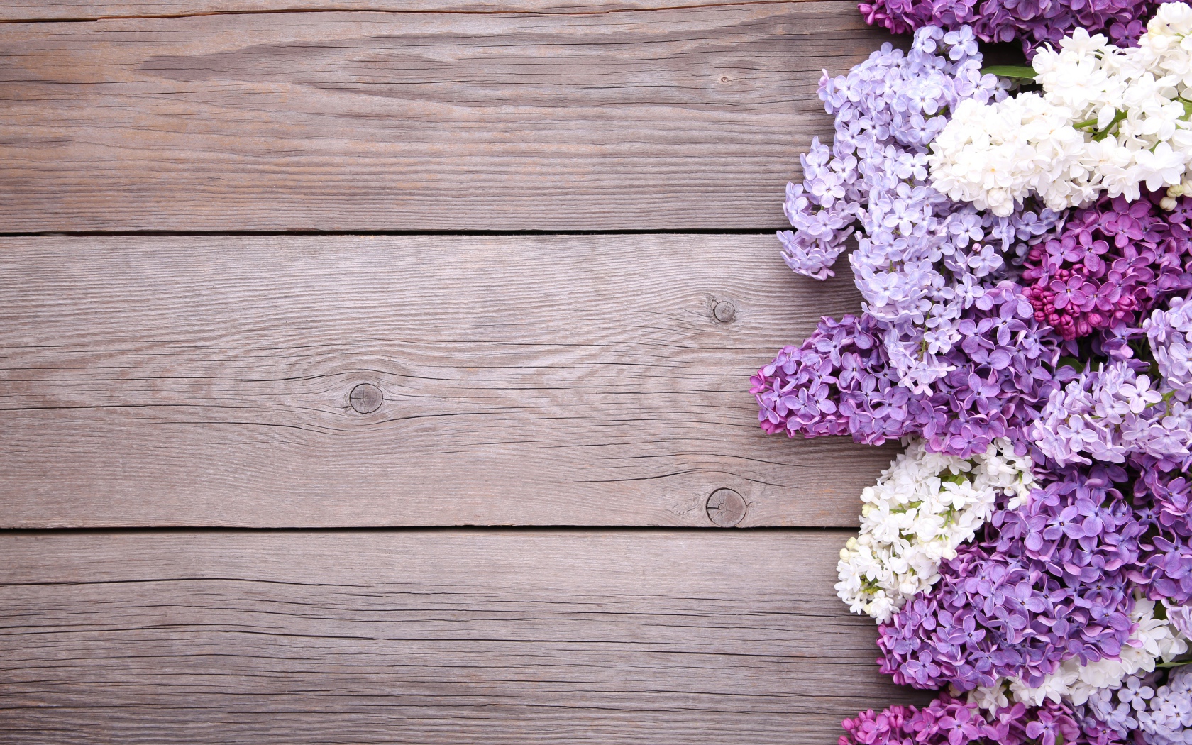 Разноцветные цветы сирени на деревянном фоне