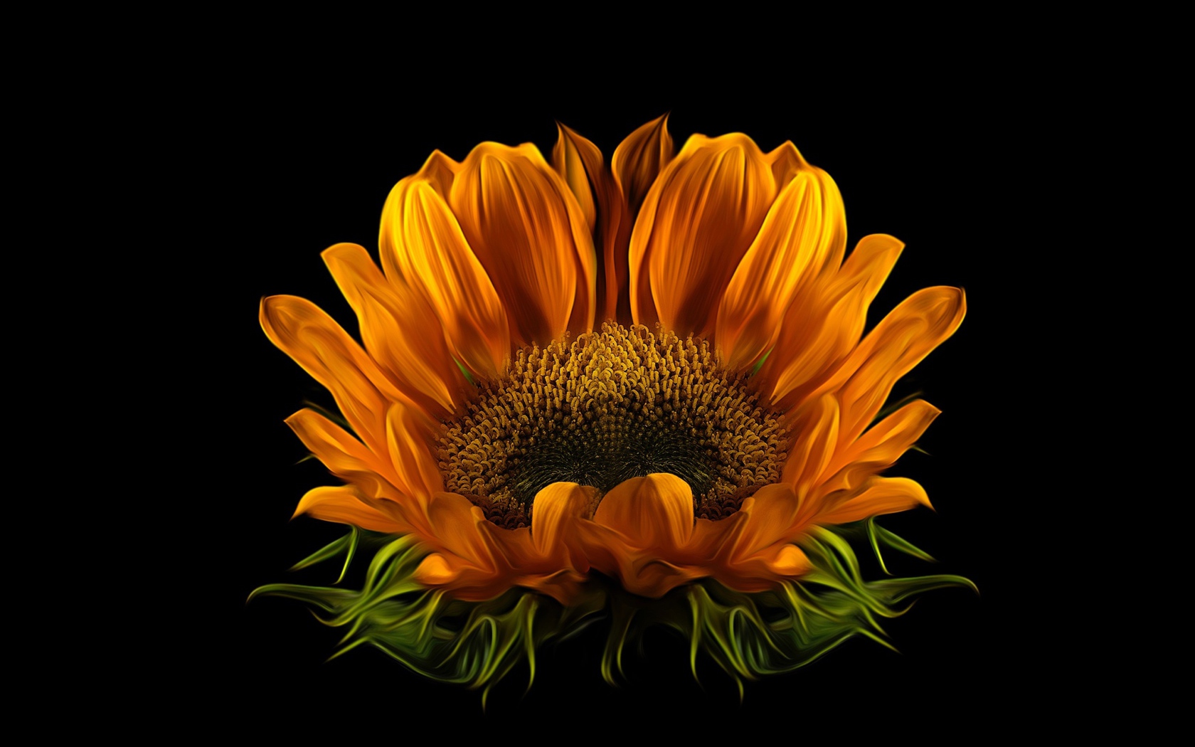 Цветок подсолнуха на черном фоне