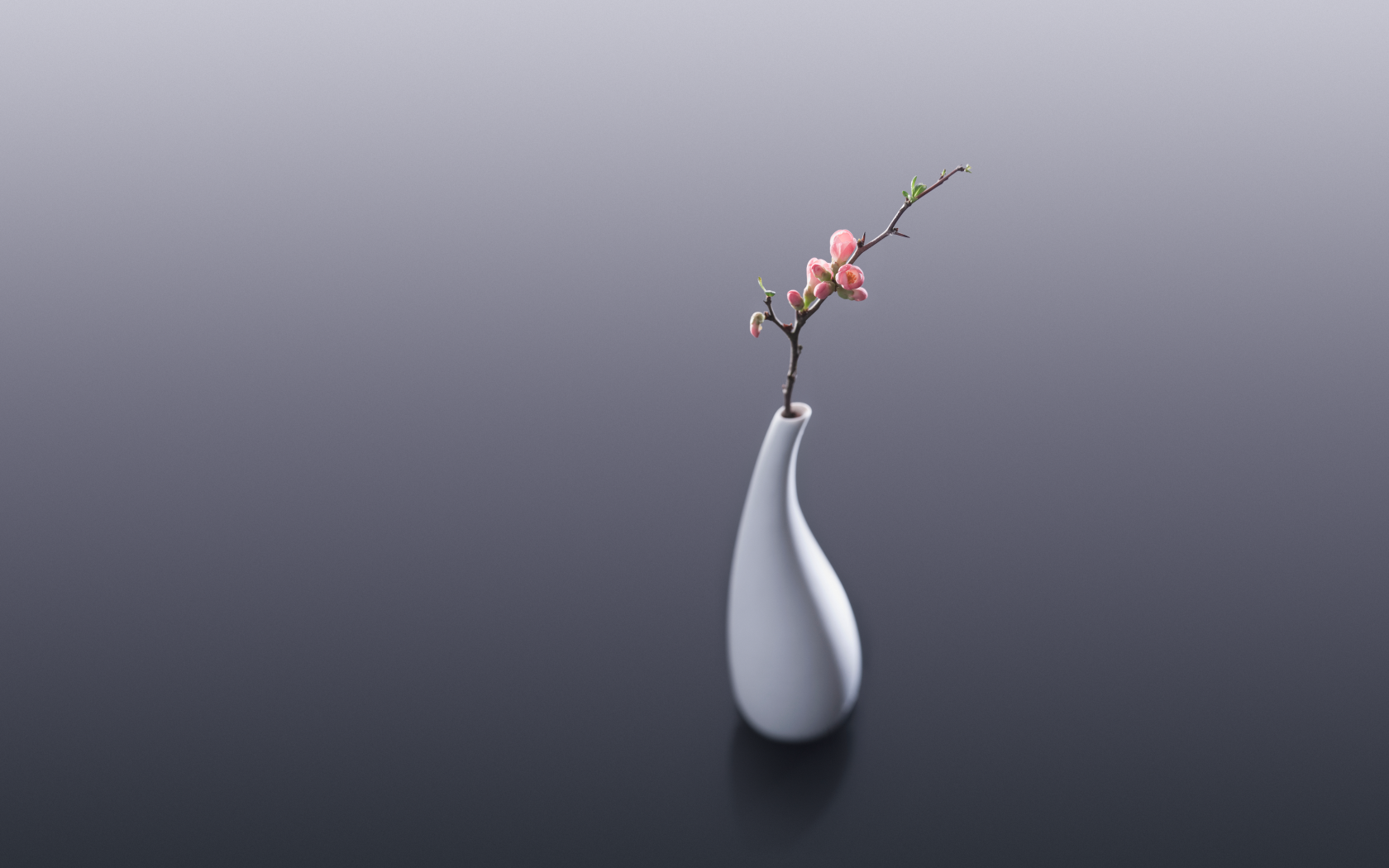 Белая ваза с веткой с розовыми цветами на сером фоне