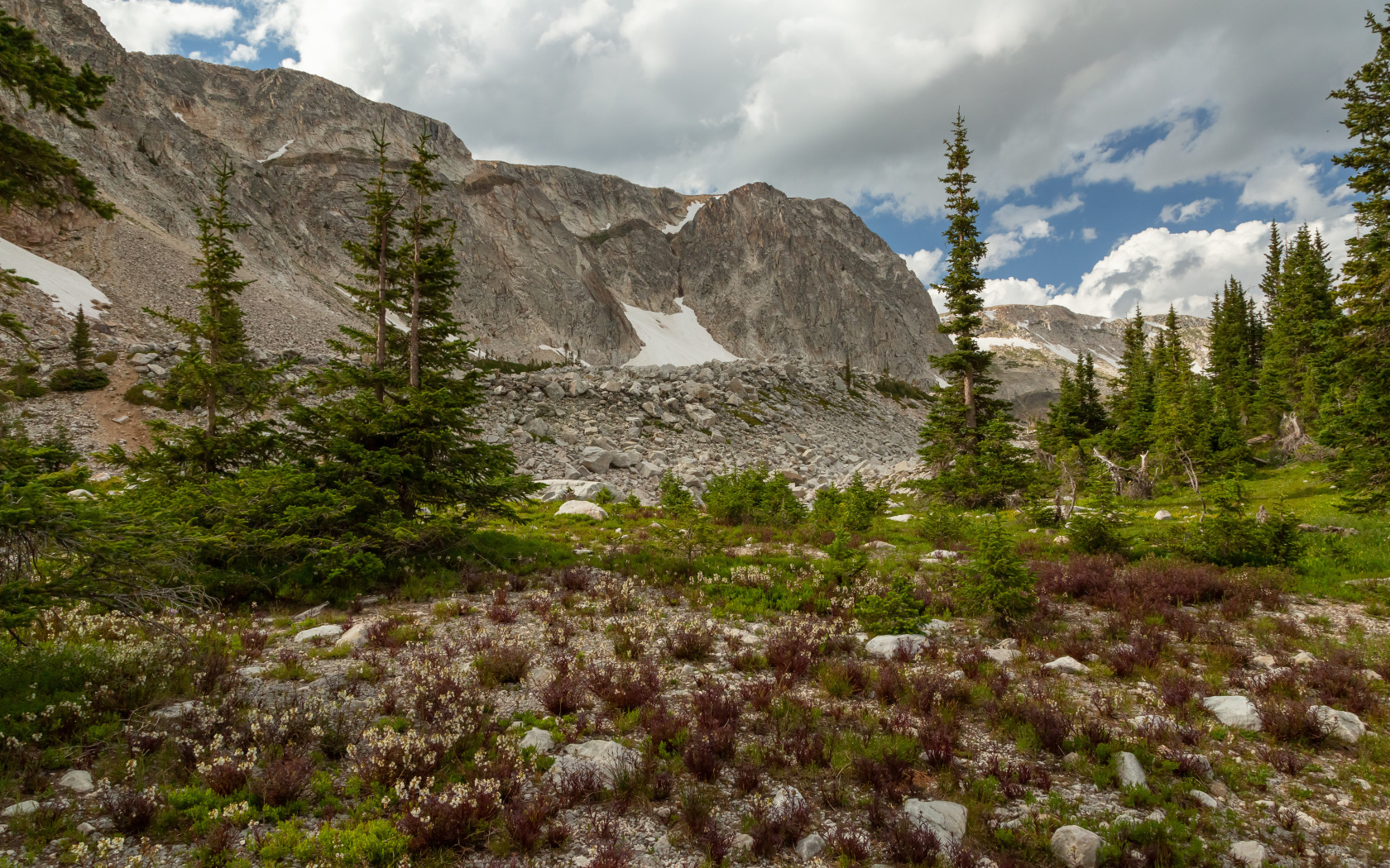 Ели у подножия каменных гор под небом с белыми облаками