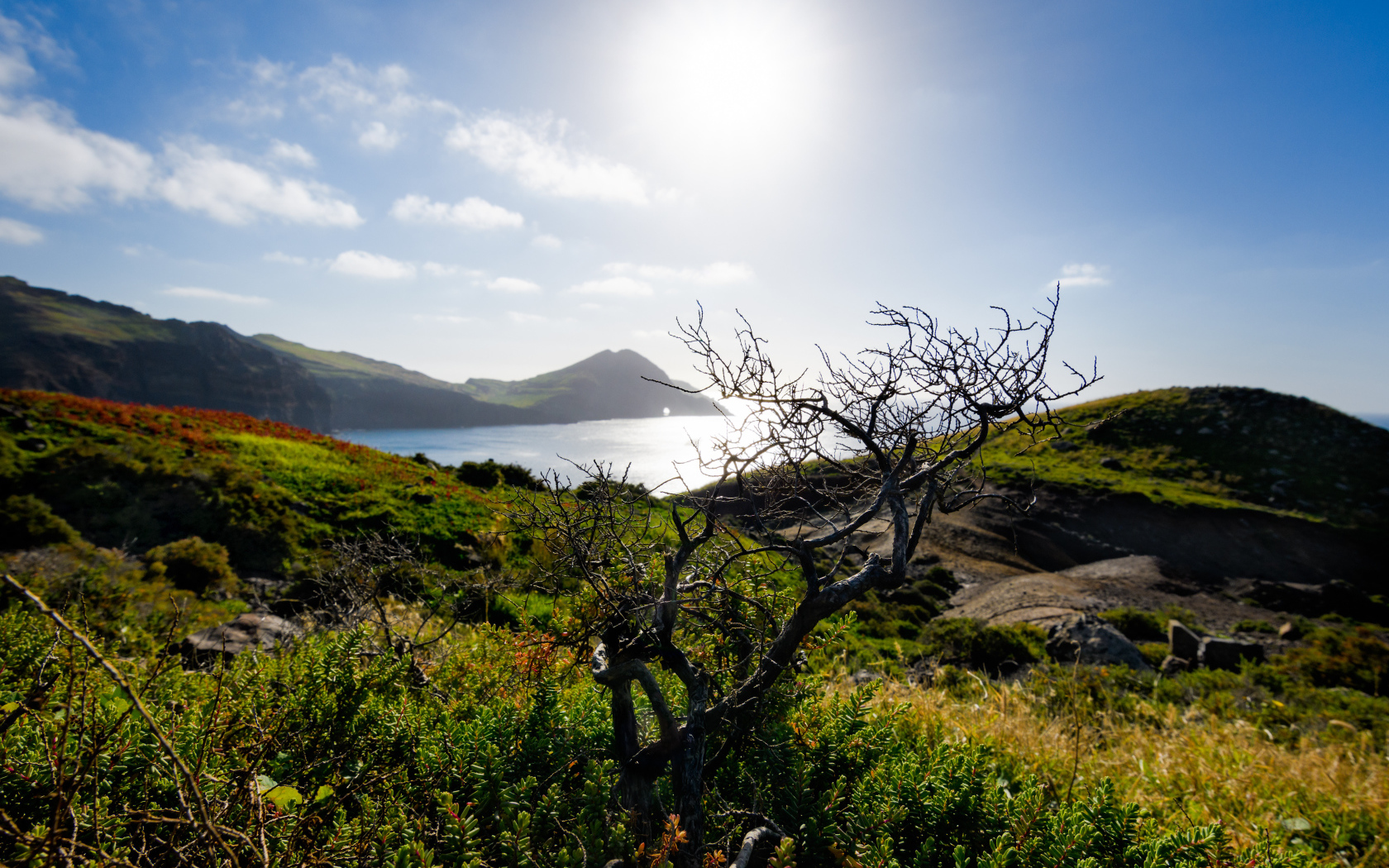 Зеленые утесы у моря на фоне яркого солнца