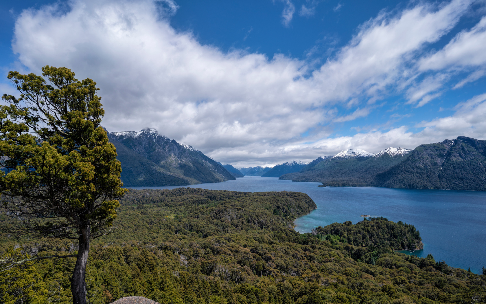 Красивый вид на реку под голубым небом с белыми облаками