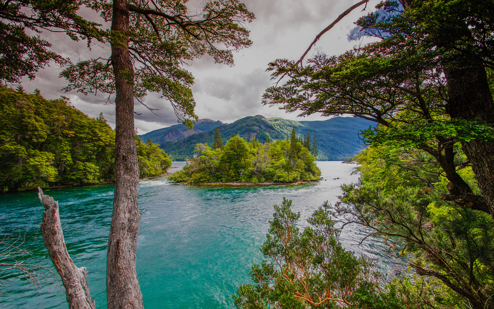 Зеленый остров посередине реки с голубой водой 