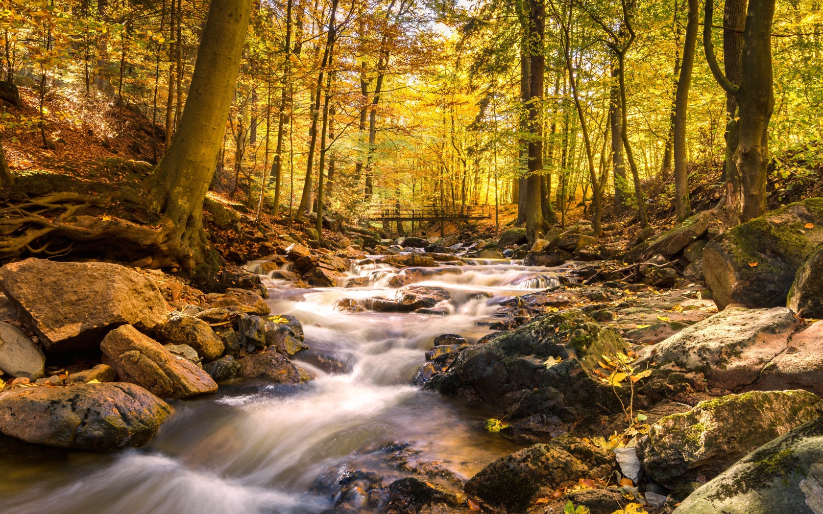 Rapid creek water flows down stones in autumn forest