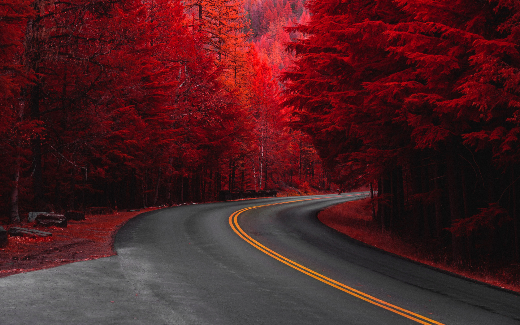 Деревья с красными листьями у дороги осенью 
