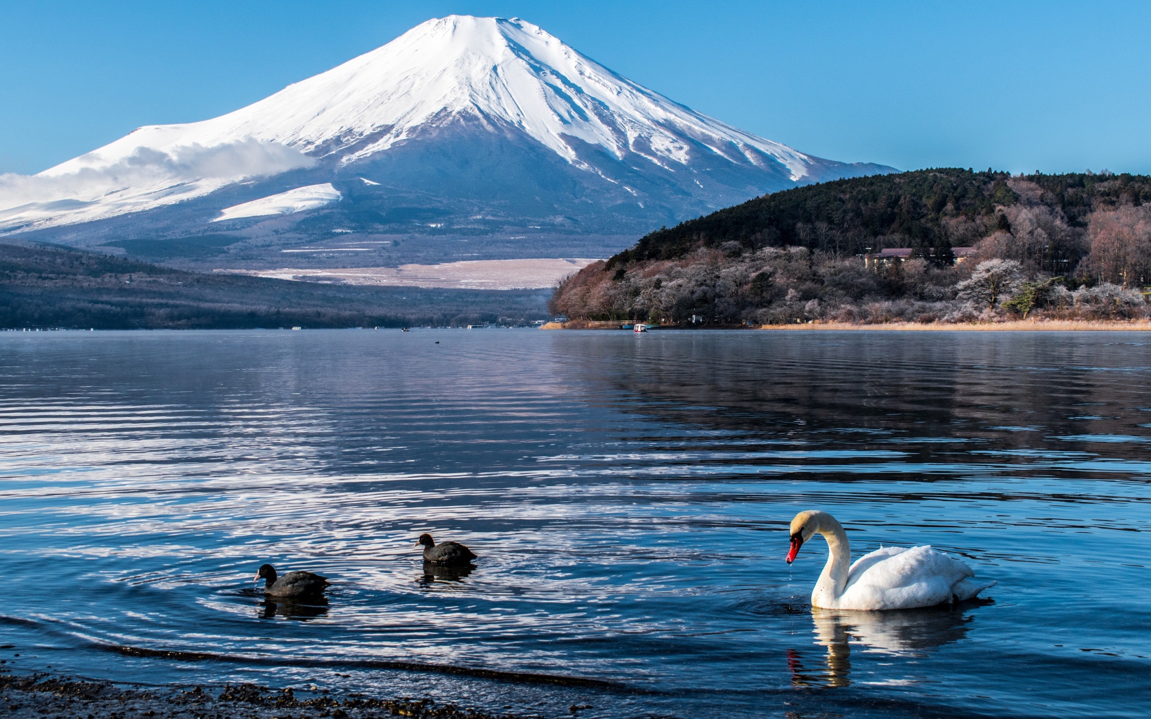 Вид на заснеженный вулкан под голубым небом у озера 