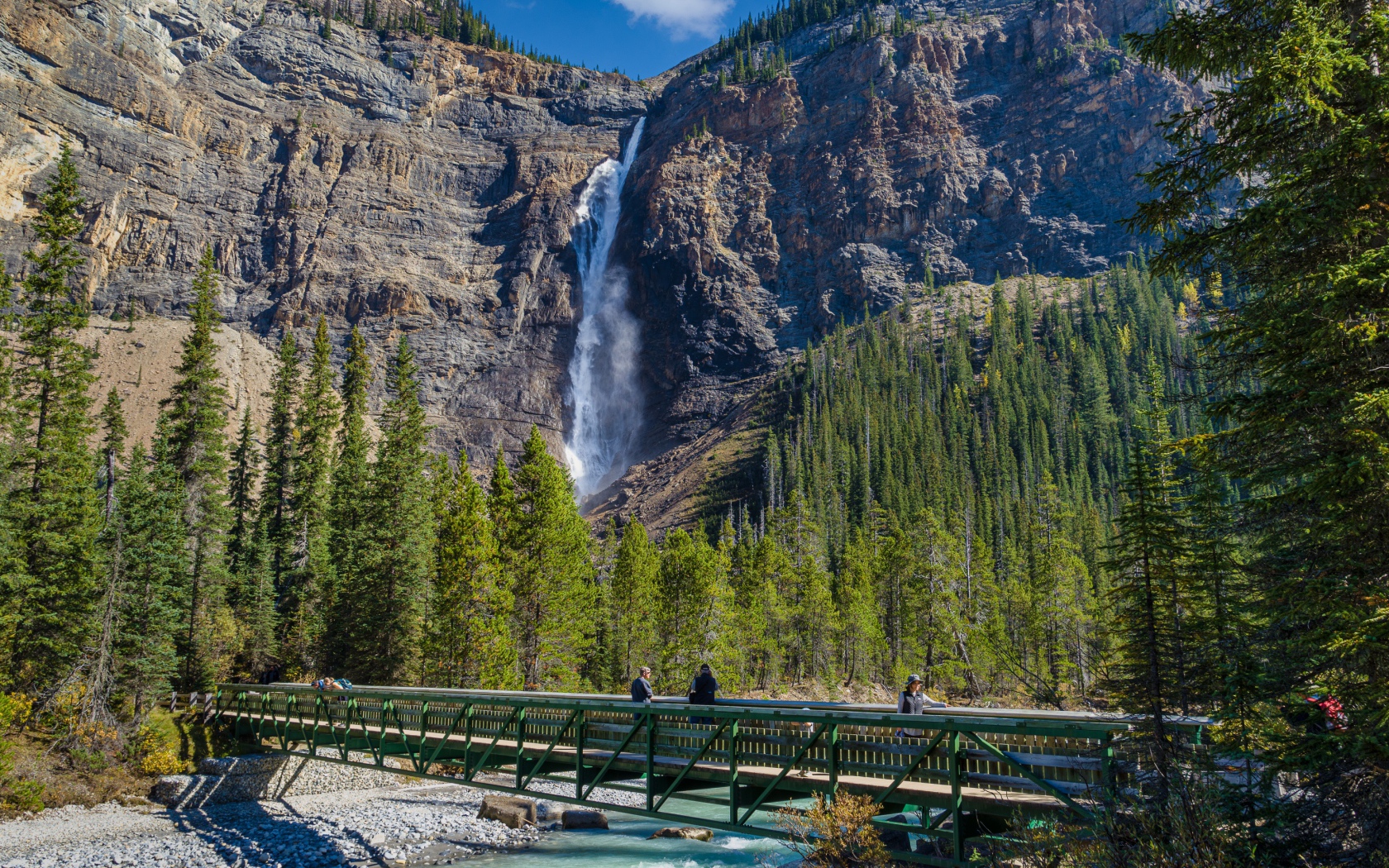Водопад стекает по скале у  хвойного леса 
