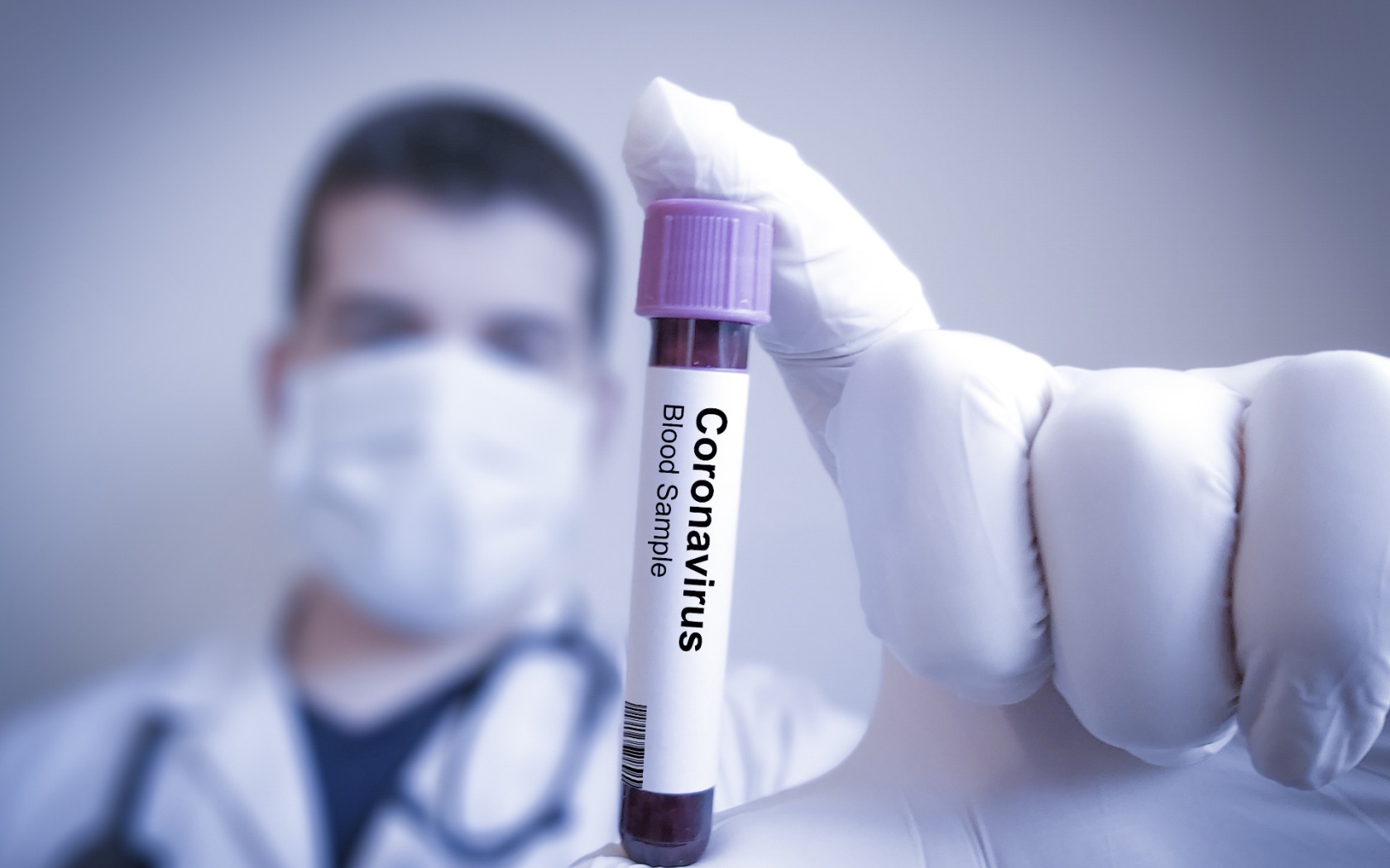Assay for coronavirus covid-19 in vitro in hand