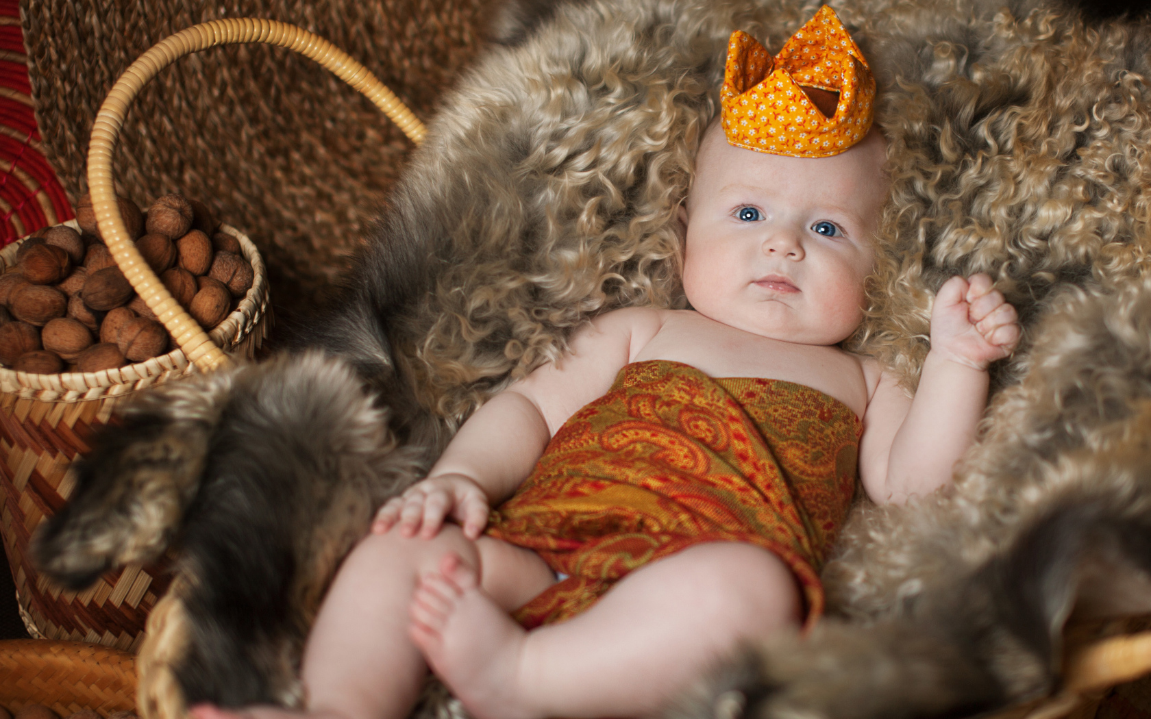 Маленький грудной ребенок в короне лежит в корзине 