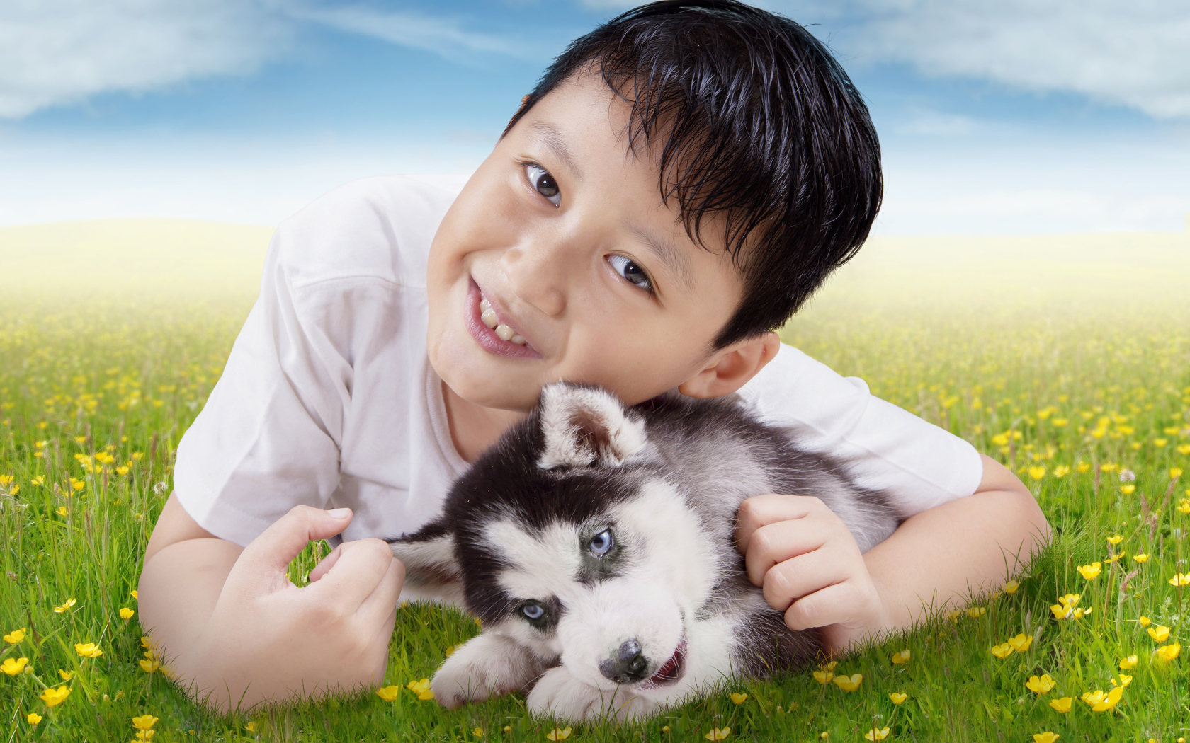 Маленький мальчик с щенком хаски на зеленой траве