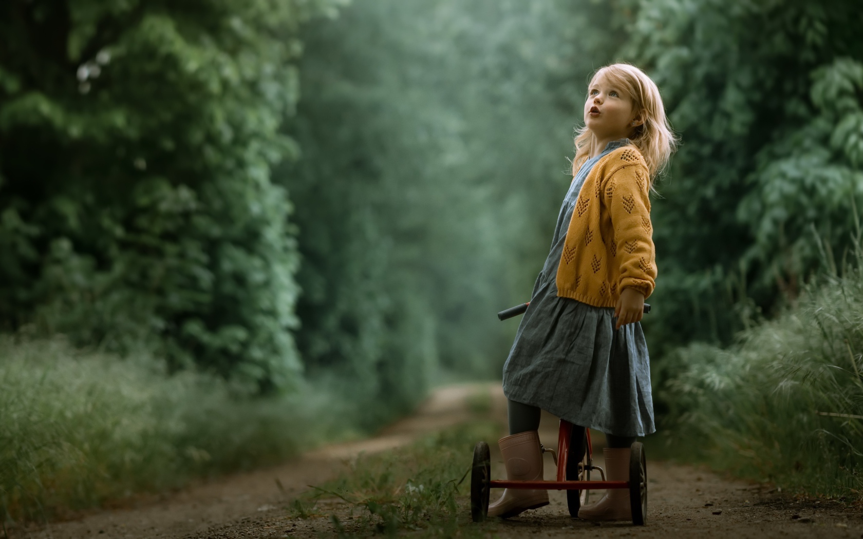 Маленькая девочка на трехколесном велосипеде 