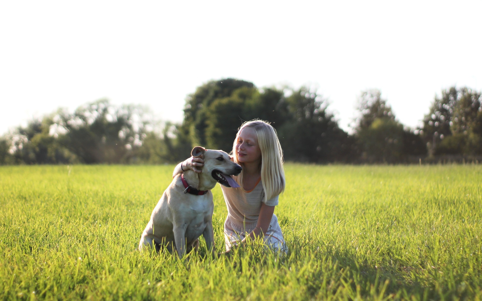 Маленькая девочка с собакой в зеленой траве