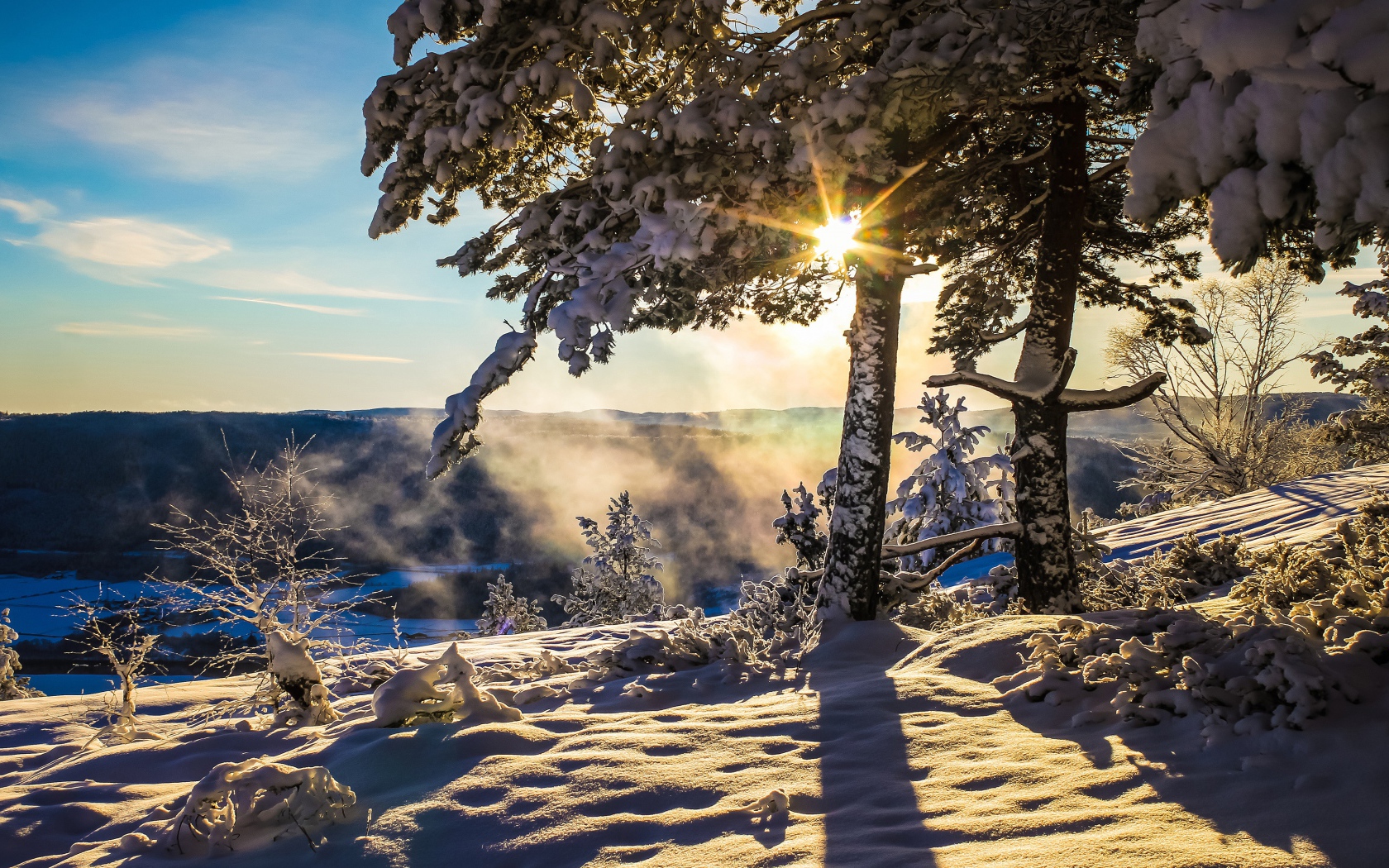 Яркое зимнее солнце прогревает заснеженную землю 