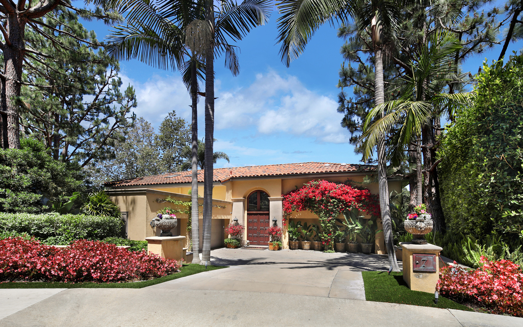 Дом на улице с цветущими кустами и пальмами