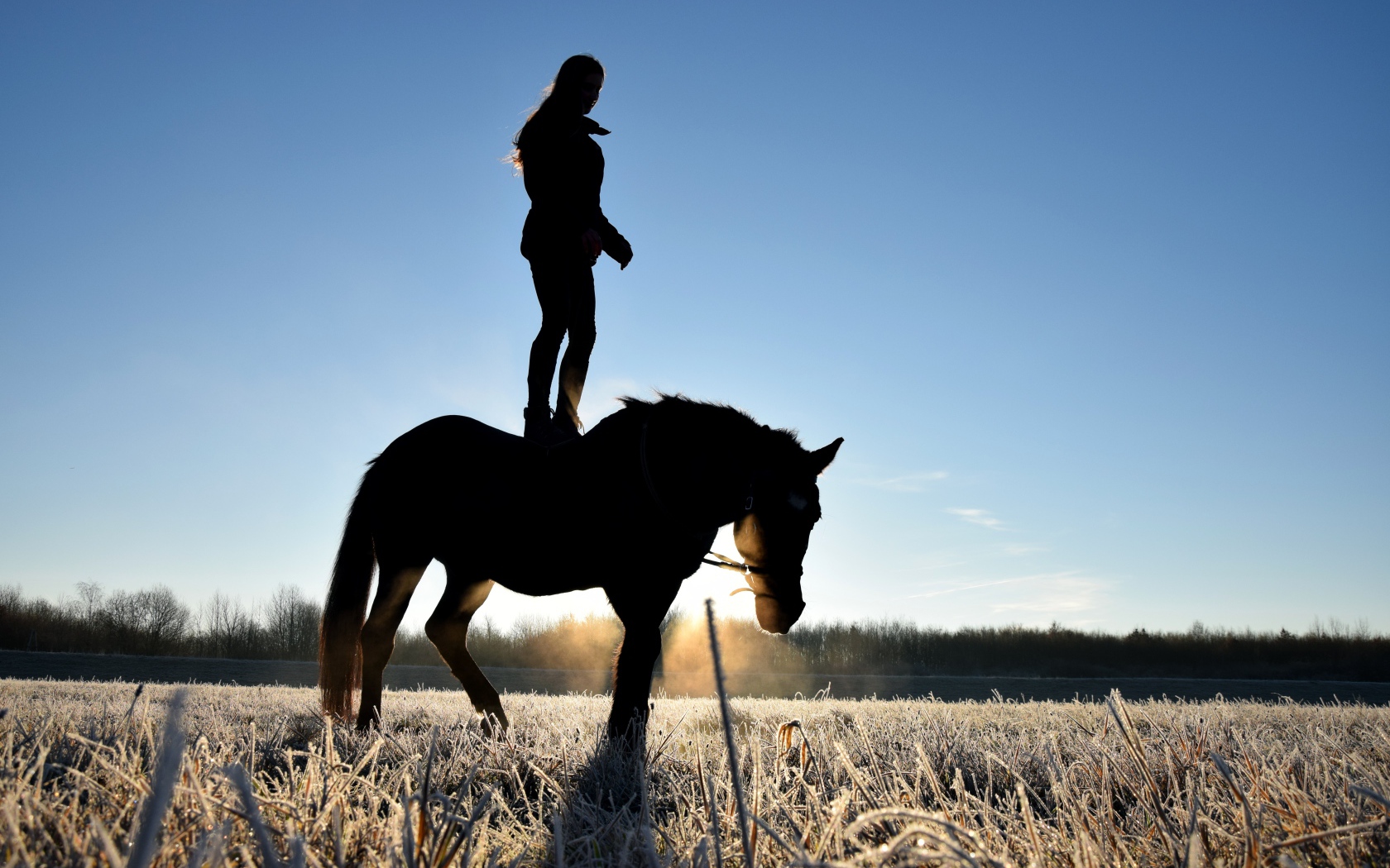 Девушка стоит на коне на фоне рассвета 