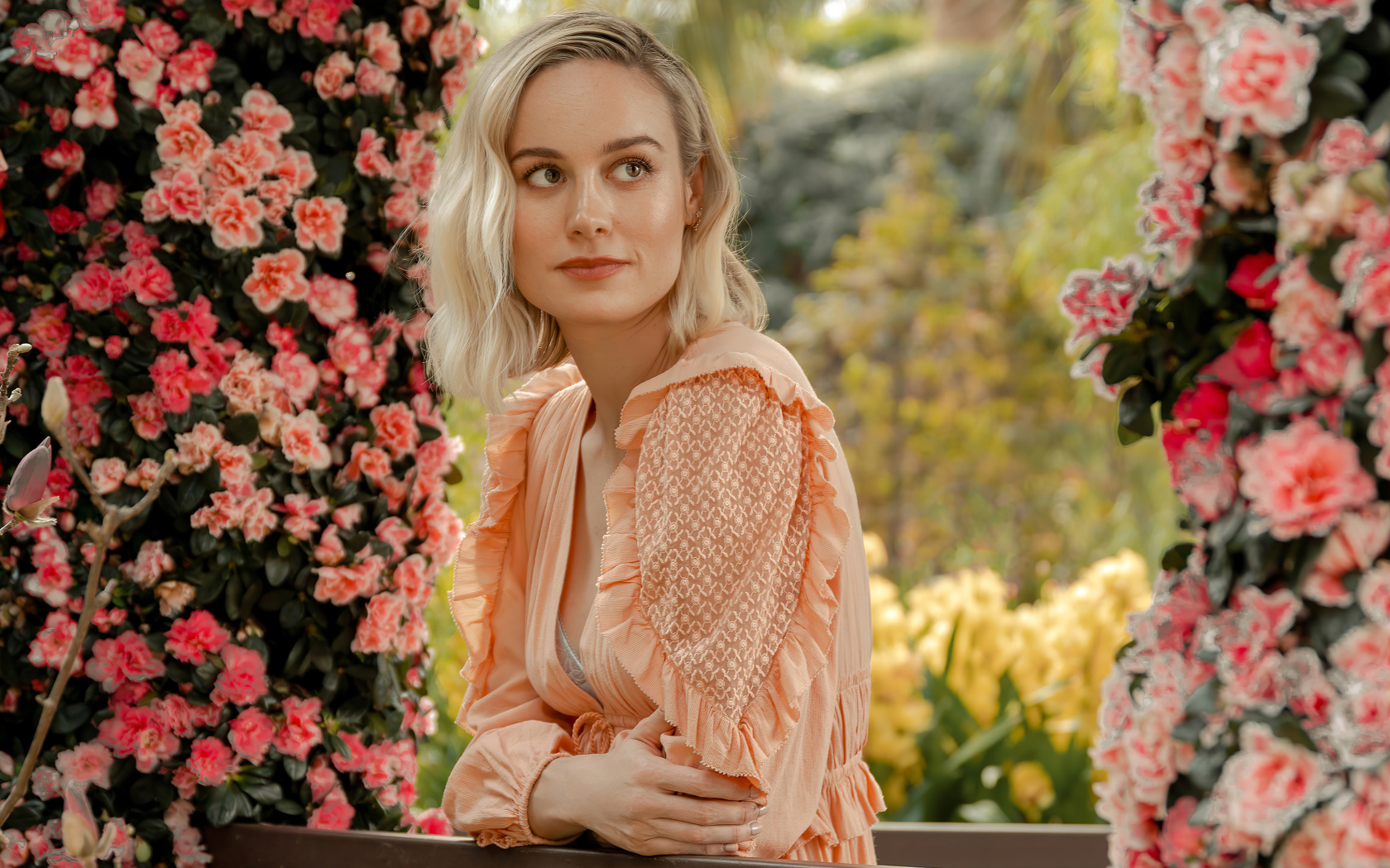 Актриса Бри Ларсон сидит у кустов с розовыми цветами